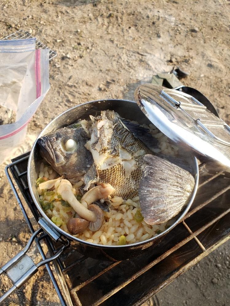 うさぎ島釣りキャンプ⛺