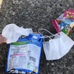 清掃活動：ヘチ釣りでキビレ＆チャイロマルハ…