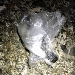 清掃活動：フロートメバリング