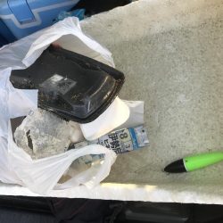 清掃活動：釣れないセイゴ！