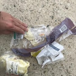 清掃活動：朝マズメの太刀魚釣り