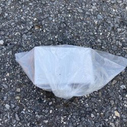 清掃活動：ボラ釣り