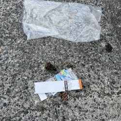 清掃活動：フグとテンコチの猛攻