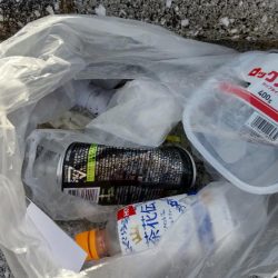 清掃活動：え〜うっそ〜エソ