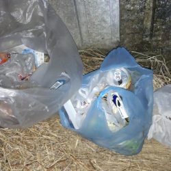 清掃活動：和歌山市内も春到来