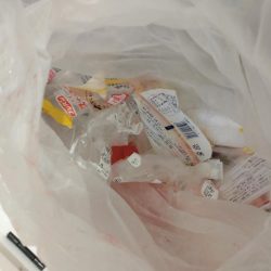 清掃活動：青物ジギング