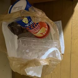 清掃活動：花見カレイ不発