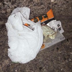 清掃活動：アジング渋め