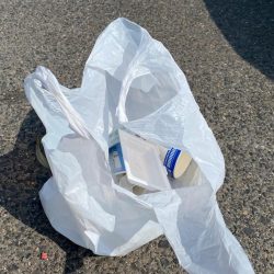 清掃活動：まだら模様のあいつ