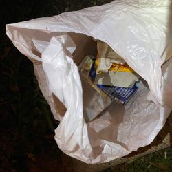 清掃活動：ハゼどん