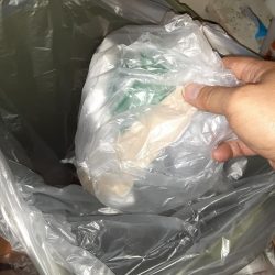 清掃活動：ライトゲーム