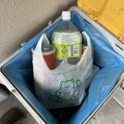 清掃活動：花見カレイ開花宣言まだまだ