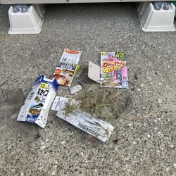 清掃活動：やっと来た！ 47cm