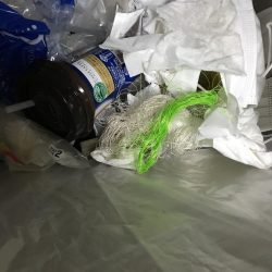 清掃活動：フロートリグ