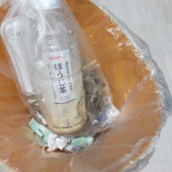 清掃活動：久々の青物