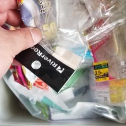 清掃活動：初場所で釣れた