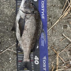 イチノ兄弟、釣果！