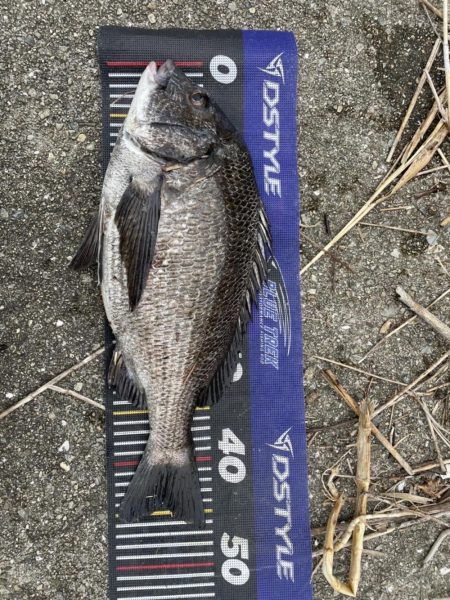 イチノ兄弟、釣果！