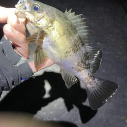 金太郎飴バリング