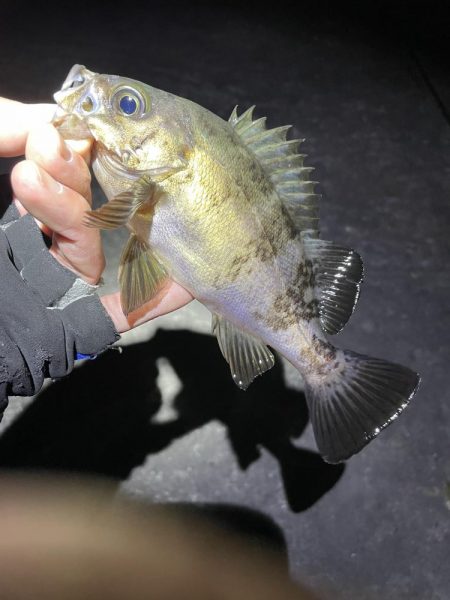 金太郎飴バリング