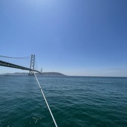 花見カレイ不発