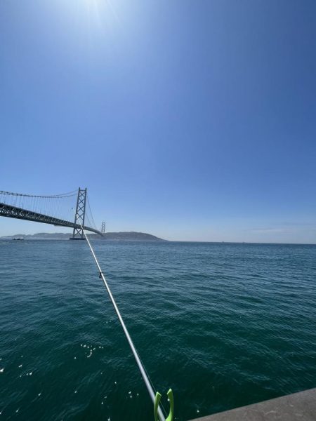 花見カレイ不発