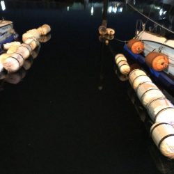 ジグ単オンリー