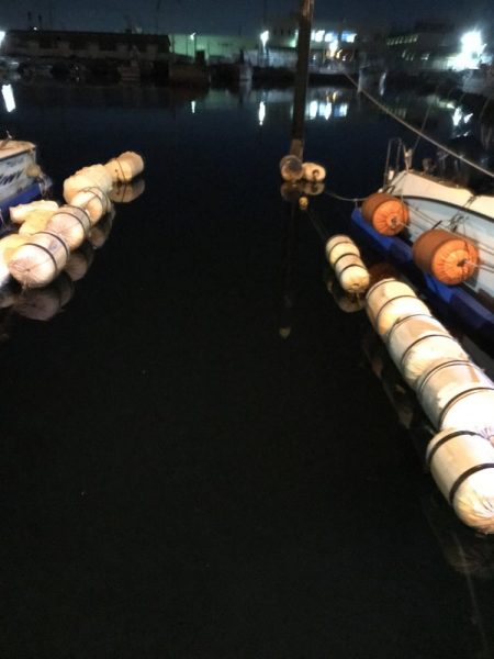 ジグ単オンリー