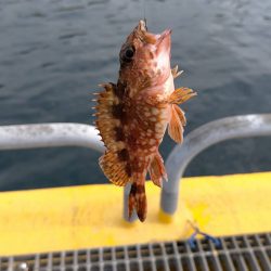 今季のオープン日に行きました