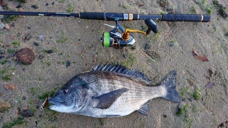 西宮サーフゲームでチヌ