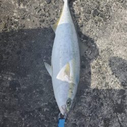 ショアジギング