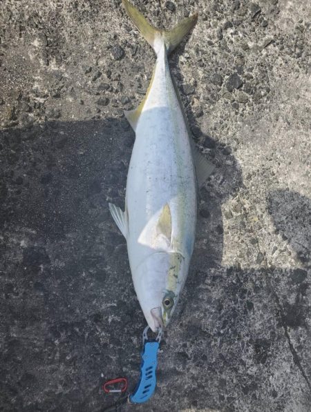 ショアジギング