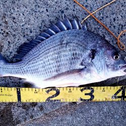 レバーブレーキルアーフィッシング②