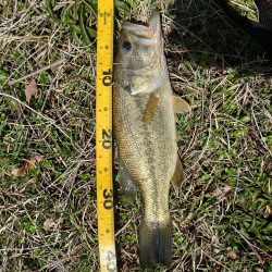 諦めかけたその時！