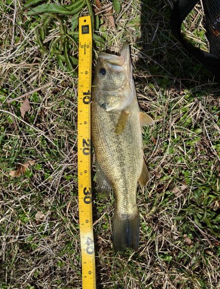 諦めかけたその時！