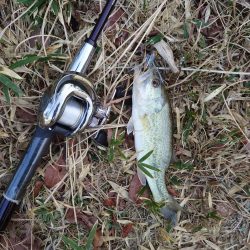 小バス のち グッドサイズ