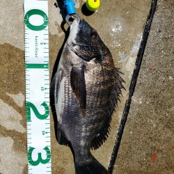 フカセDay⑤日射しに注意を(笑)