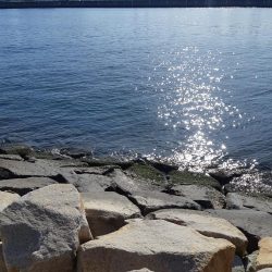 最後にちょっと・・・