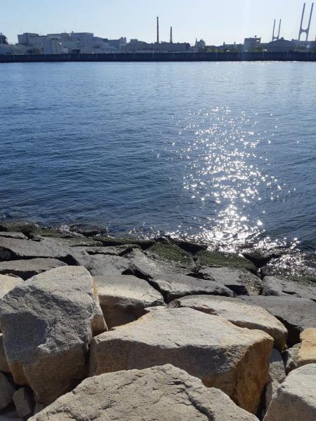 最後にちょっと・・・