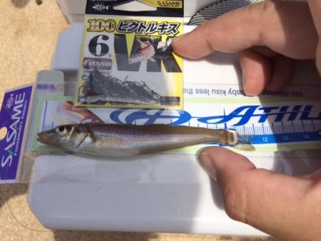 ポカポカ陽気に誘われて投げに行ってきました…