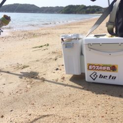 気持ち良く投げて、魚も釣れて満足でした