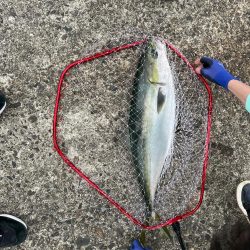 やっと念願の青物ルアーで釣りあげました