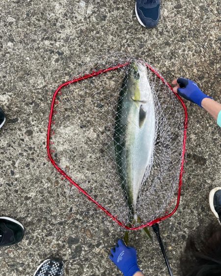 やっと念願の青物ルアーで釣りあげました