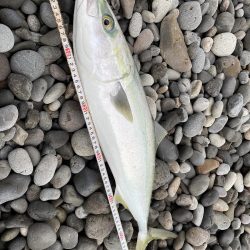 煙樹ヶ浜 ショアジギング 青物 ハマチ メジロ