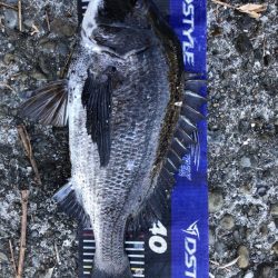 イチノ兄弟、釣果!