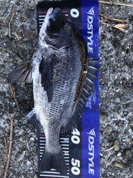 イチノ兄弟、釣果!