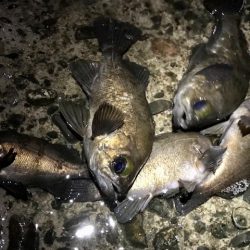 フロートメバリング