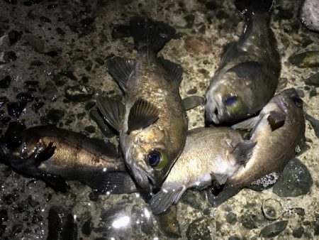 フロートメバリング