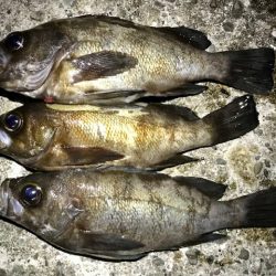 フロートメバリング