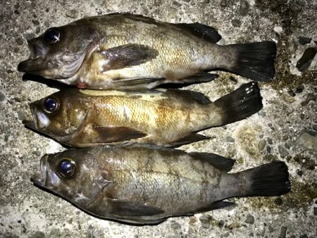 フロートメバリング